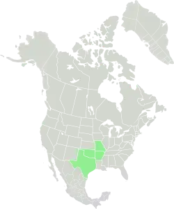 Current range of S. ampullaceus.