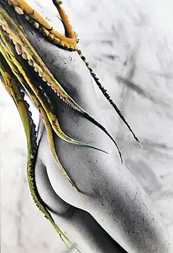 Relectura de El sueño de la esposa del pescador 1988 fotografía de Sergio Valle Duarte