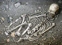 El viejo de La Chapelle son los restos de un esqueleto parcial de un enterramiento neanderthal de 60 ka. Permitió hacer cambiar el punto de vista de esta especie al demostrar la posición completamente erguida, entre otros aspectos.