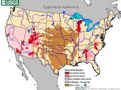 Área de distribución de C. lutrensis. Marrón (autóctono); Rojo-rosa (introducido)