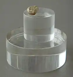 El diente de leche conocido como Niño de Orce es probablemente el resto fósil de Europa occidental más antiguo, 1,4&nbsp;Ma, y perteneció a un Homo sin especie asignada. Se encontró junto a restos de industria lítica y acumulación de comida de hienas gigantes.