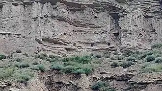 Restos de mechinales