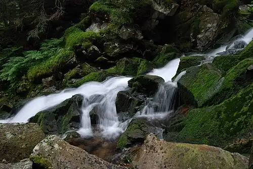 Una pequeña cascada en el arroyo Stânișoara.