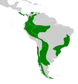 Distribución geográfica de los rinocríptidos.