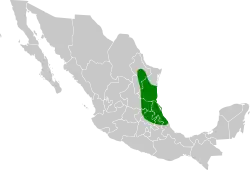 Distribución geográfica del picogrueso cuellirrufo.