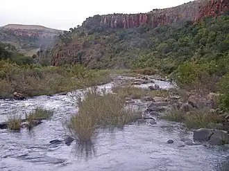 Corriente fluvial del río Inkomati cerca de Carolina, Sudáfrica
