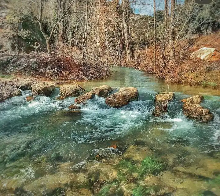Río Izana a su paso por Las Cuevas de Soria