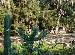 Río Tula en Mixquiahuala de Juárez.