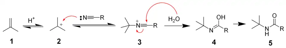 El mecanismo del Ritter reacción