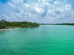 Color «verde mar» de las aguas de río en Holbox, México