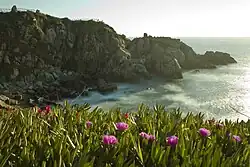 Gramíneas color fucsia en la Roca Oceánica