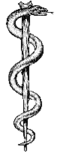 La clásica Vara de Esculapio como símbolo de la medicina humana.