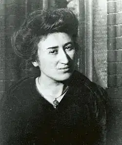 Rosa Luxemburgo (1910)