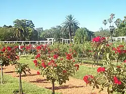 El Rosedal en Buenos Aires.