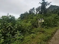 Ruta Nacional 65 en Tucumán