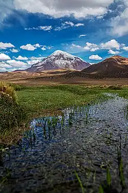 Vista del Nevado Sajama.