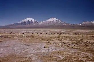 Parque Nacional Sajama