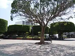 Vista de la plaza.