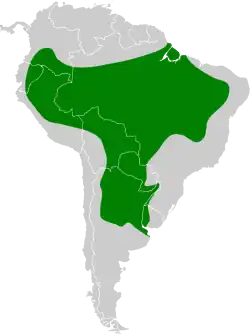 Distribución geográfica del pepitero grisáceo.