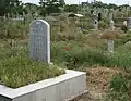 Cementerio en Afrasiab