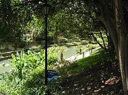 El río San Antonio serpentea por Downtown San Antonio.