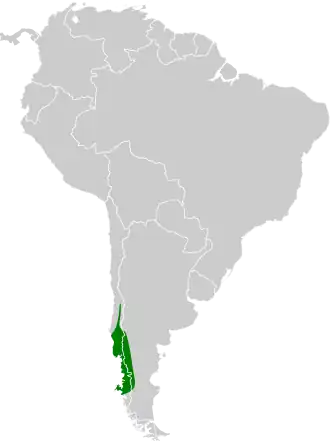 Distribución geográfica del tapaculo chucao.