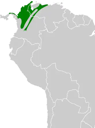 Distribución geográfica del llorón alirrufo.