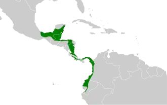 Distribución geográfica del llorón norteño.