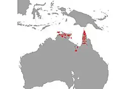 Distribución actual de la arowana australiana.