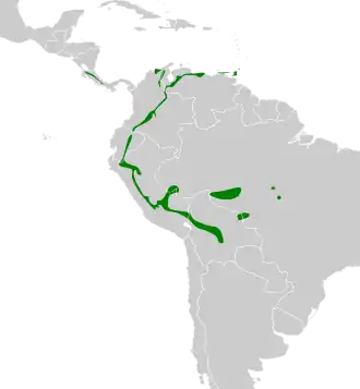Distribución geográfica del tirahojas gorgigrís.