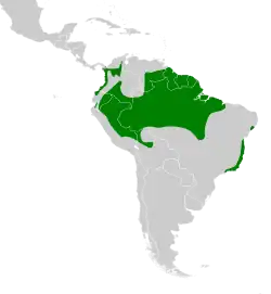 Distribución geográfica del tirahojas oscuro.