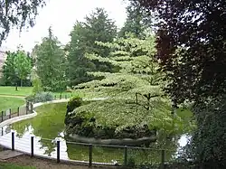 Estanque en el jardín botánico.