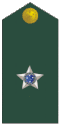 Insignia de Teniente del Ejército Brasileño.