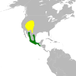 Distribución geográfica del colibrí coliancho