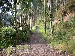 Senda de la Ría del Eo