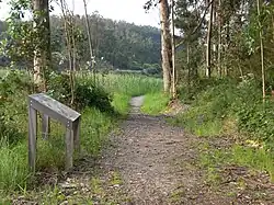 Senda de la Ría del Eo
