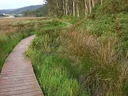 Senda de la Ría del Eo