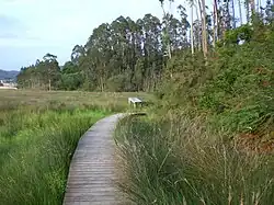 Senda de la Ría del Eo