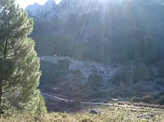 Sendero de Grazalema al puerto del Boyar helado.