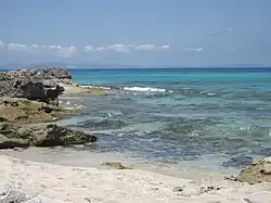 Àrea marina Platja de Tramuntana