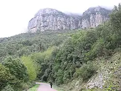 Bosque cercano a Seui.