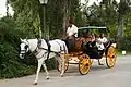 Paseo turístico en coche de caballos (Parque de Maria Luisa, Sevilla, 2007).