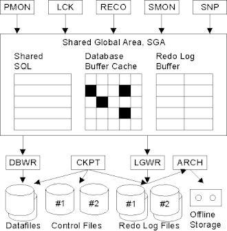 Sga Estructura de procesos