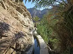 The falaj at Wadi Shees channels water from a nearby pool to the fields in the village