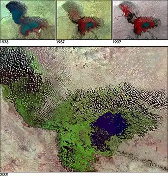 Imagen de satélite de 2001 del lago Chad. El lago se ha reducido en un 95 % desde 1960.[52]​[53]​
