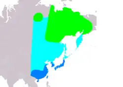 Distribución de Sibirionetta formosa