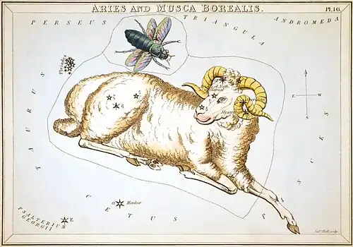 Tarjeta 16: Aries y Musca Borealis