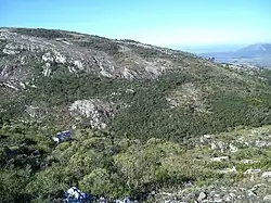 Cerro de las Ánimas, Maldonado