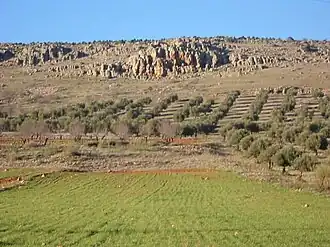 Paisaje montañoso con pinares
