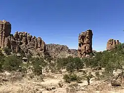 Matorral, Sierra de Órganos, Zacatecas